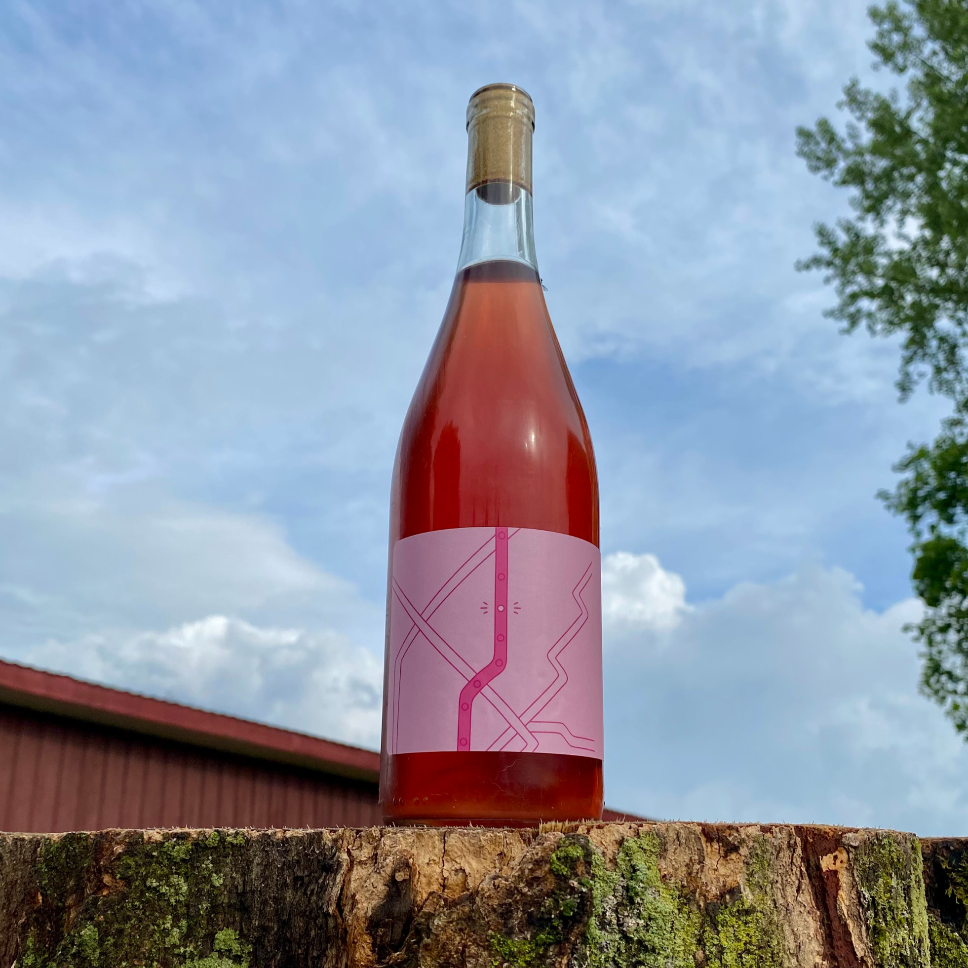 LIGNE ROSE 2024 - vin rosé
