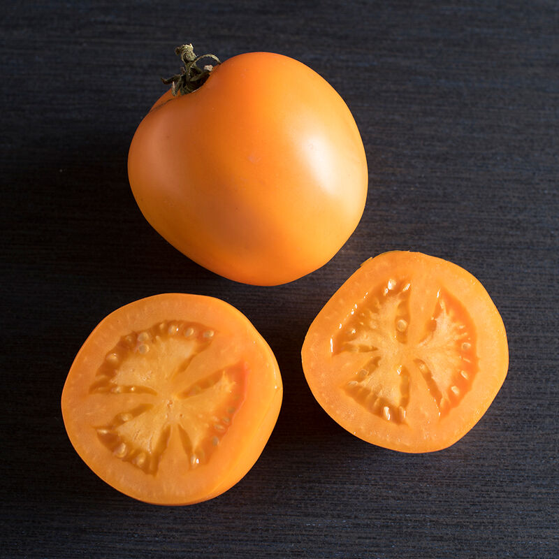 Tomate jaune «Golden Bison» UNITÉ