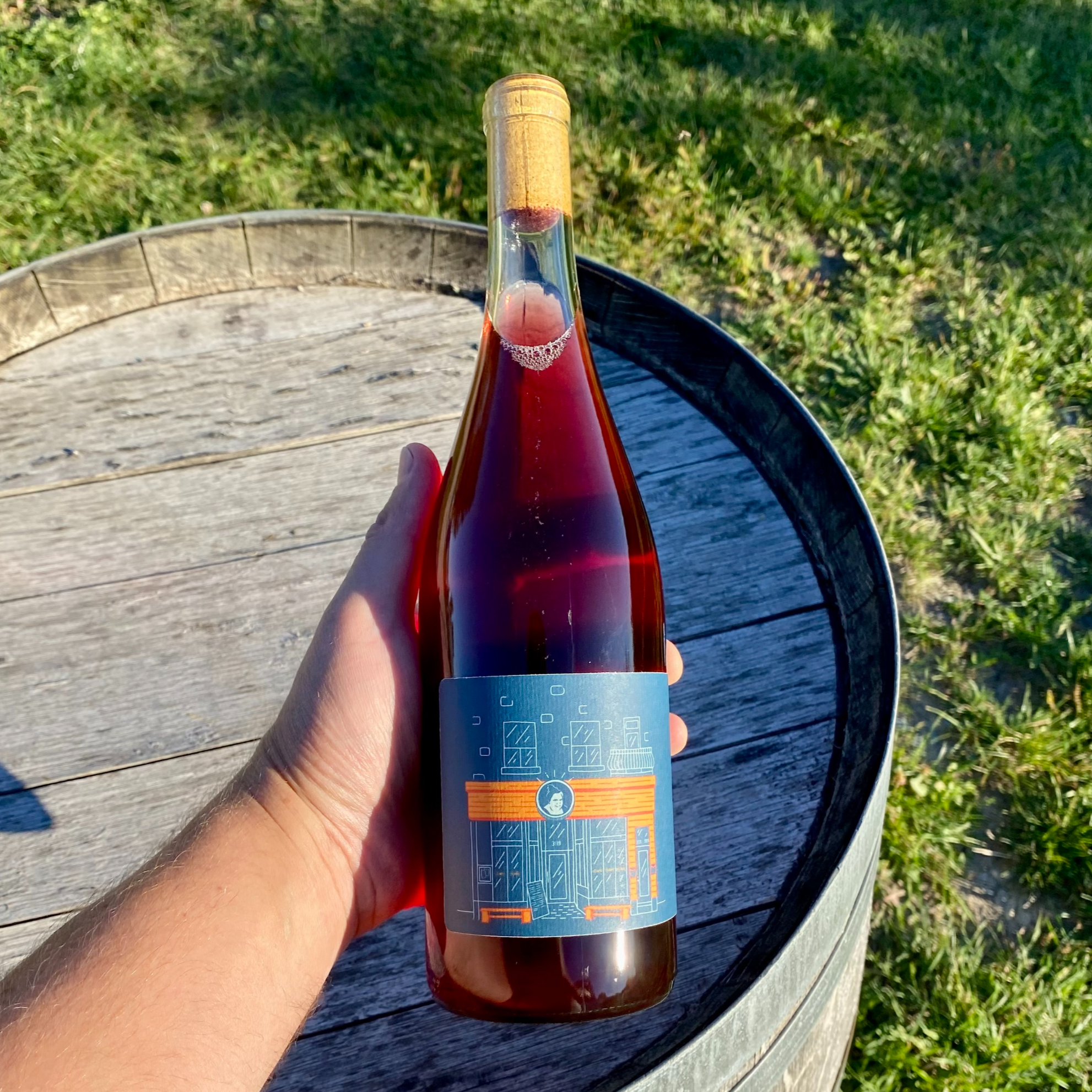 LÉZARD 2024 - vin rosé