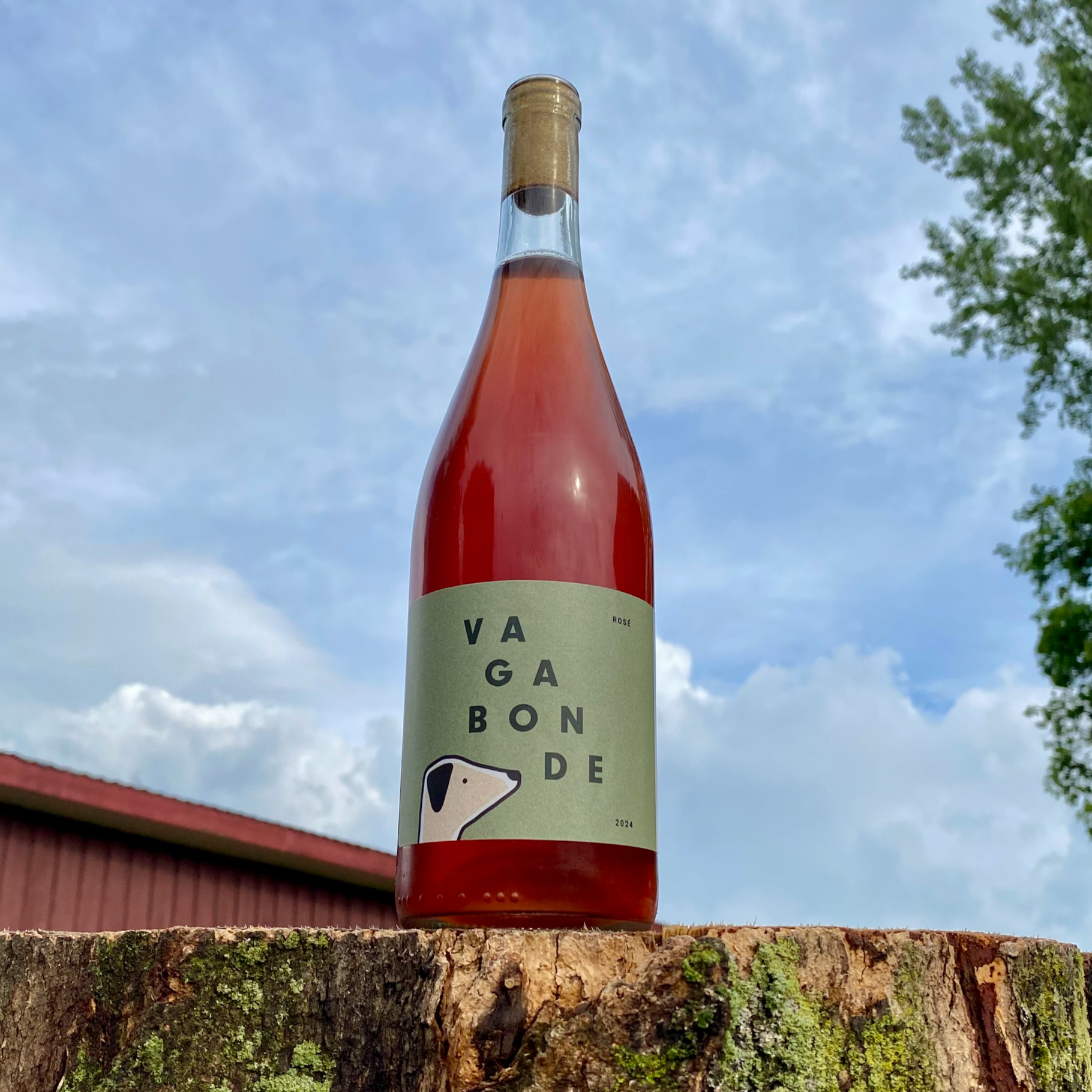 VAGABONDE 2024 - vin rosé