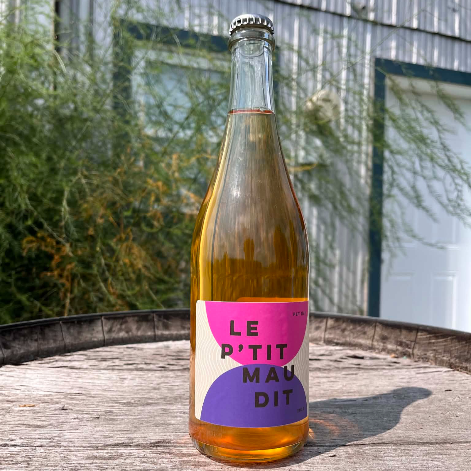 P'TIT MAUDIT 2025 - vin pétillant naturel blanc