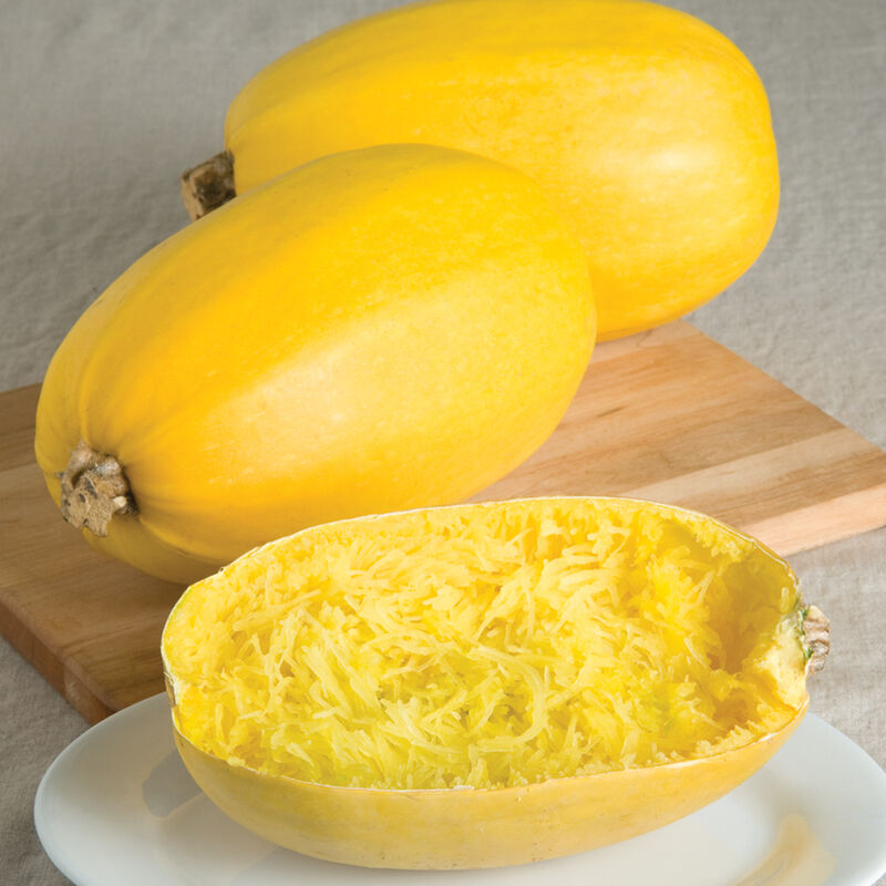 Courge spaghetti végétal BARQUETTE