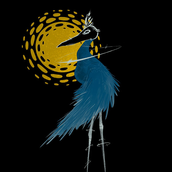 Garza en la puesta del sol, esperando su llegada