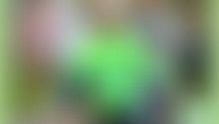 Bridging the Blog Gap