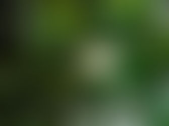 Her şey, Her Yerde, Aynı Anda / Everything Everywhere All At Once