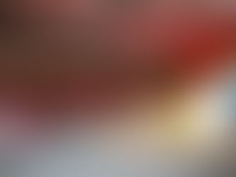 SANTARÉM ACOLHE II ENCONTRO NACIONAL DE VOLUNTÁRIOS DA LIGA PORTUGUESA CONTRA O CANCRO