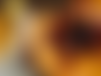 PASTEL DE NATA DA PADARIA MAGIRUS FOI O VENCEDOR DO CONCURSO “PROVÁMOS & GOSTÁMOS!”