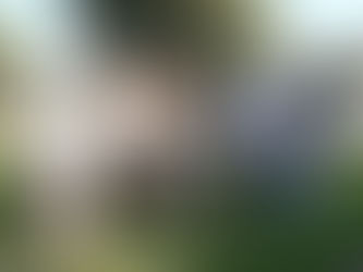 RIO MAIOR EVOCOU ANTIGOS COMBATENTES