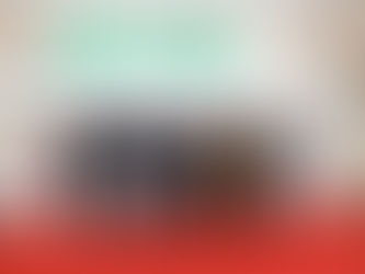 SANTARÉM FOI PALCO DA VI GALA DE ENTREGA DOS PRÉMIOS PORCO D’OURO