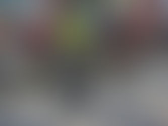 CRP RIBAFRIA ENTRA NO MUNDO DA COMPETIÇÃO EM E-BIKES