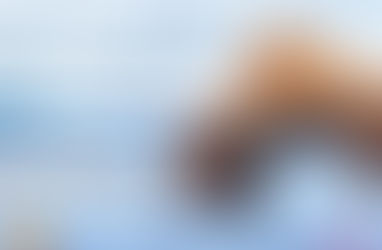 APSI E GNR LANÇAM CAMPANHA DE PREVENÇÃO DE AFOGAMENTOS