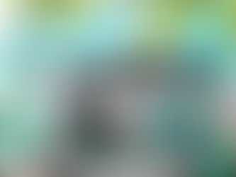 PROJETO INOVADOR PARA O SECTOR AGRÍCOLA APRESENTADO EM SANTARÉM 