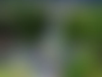 RIO MAIOR: APRESENTADO ESTUDO PRÉVIO PARA REQUALIFICAÇÃO DA ANTIGA E.N. 1 EM ASSEICEIRA