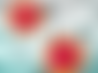 NOVO ANO COMEÇA COM MAIS 40 CASOS NO CONCELHO DE RIO MAIOR