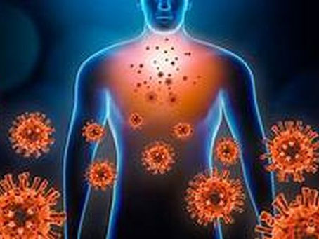 DOMINGO COM 13 NOVOS CASOS NO CONCELHO DE RIO MAIOR