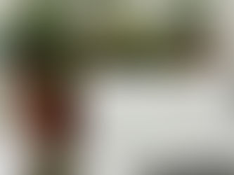 HOMEM DETIDO EM PENICHE POR TRÁFICO DE ESTUPEFACIENTES 