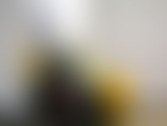 DISPOSITIVO ESPECIAL DE COMBATE A INCÊNDIOS RURAIS 2023 TESTA MEIOS