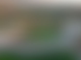 CÂMARA DE RIO MAIOR APROVOU PROJETO DE OCUPAÇÃO DE ESPAÇO PÚBLICO