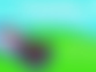 CRIANÇAS DO CONCELHO DE RIO MAIOR VÃO TER ATIVIDADES AO AR LIVRE