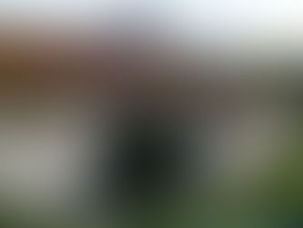 OS CASAMENTOS EM CASAIS MONIZES HÁ CEM ANOS