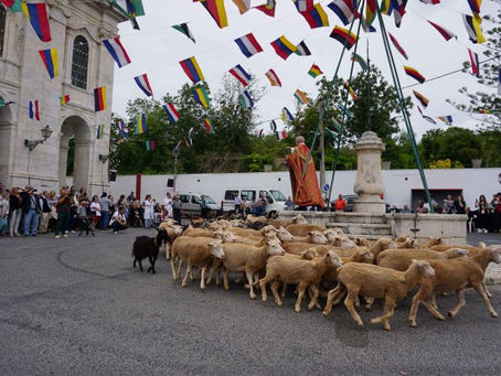 ALENQUER: BENÇÃO DO GADO CELEBRADA EM MECA