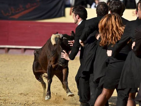 GARRAIADA ACADÉMICA ESTÁ DE REGRESSO A SANTARÉM 