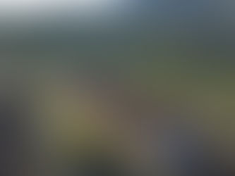 CLUBE DO MATO LEVA 52 VOLUNTÁRIOS A AÇÃO DE REFLORESTAÇÃO DA SERRA DA ESTRELA