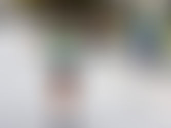 ESTAFETA RIO MAIOR ALCANENA VAI PARA A ESTRADA A 2 DE FEVEREIRO