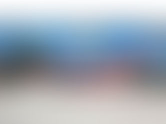 IRMÃOS LUÍS E NUNO ABREM LOJA DE VENDA AO PÚBLICO EM RIO MAIOR 