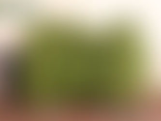 HOMEM DETIDO NO CONCELHO DE CALDAS DA RAINHA POR CULTIVO DE CANÁBIS