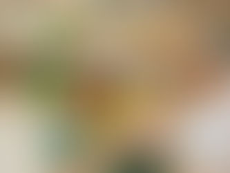 ASAE INSTAURA 17 PROCESSOS-CRIME POR ESPECULAÇÃO DE PREÇOS DE VENDA AO CONSUMIDOR 