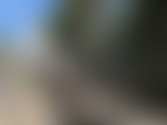 CÂMARA DE SANTARÉM APOIA FINANCEIRAMENTE A CELEBRAÇÃO DOS 860 ANOS DA VILA DE ALCANEDE