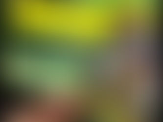 APOSTADOR DE RIO MAIOR GANHA 5.000 EUROS EM RASPADINHA 