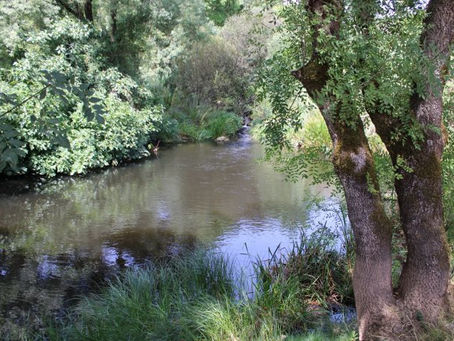 SANTARÉM ASSEGURA 21,5 MIL EUROS DA CANDIDATURA AO FUNDO AMBIENTAL 