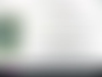 RIBEIRA DE SÃO JOÃO