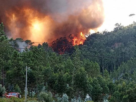LEIRIA: QUASE 200 BOMBEIROS COMBATEM INCÊNDIO NA CARANGUEJEIRA 