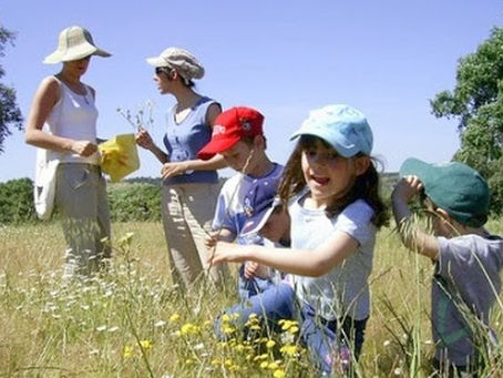 CHAMUSCA MANTÉM A TRADIÇÃO E APANHA A ESPIGA EM 5.ª FEIRA DA ASCENSÃO 