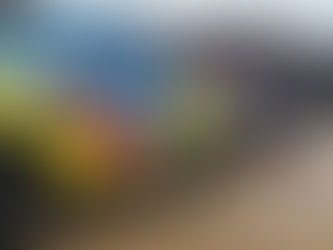 SURFISTA HOLANDESA AUXILIADA EM PENICHE