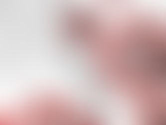 DOMINGO SEM CASOS NO CONCELHO DE RIO MAIOR