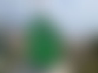 CÂMARA DA NAZARÉ INSTALA ABRIGOS PARA COLÓNIAS DE GATOS