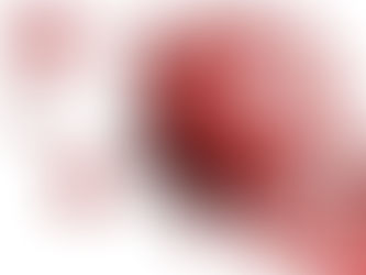 DOMINGO SEM ALTERAÇÕES NO CONCELHO DE RIO MAIOR