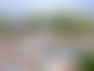 GOVERNO APROVA POLÍCIA MUNICIPAL EM ALENQUER