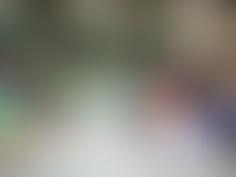 FESTIVAL DO AZEITE DE PERNES DE PORTAS ABERTAS ATÉ DOMINGO