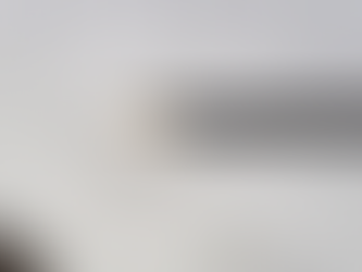 NERSANT DEBATE PROFISSIONALIZAÇÃO DA GESTÃO NAS EMPRESAS FAMILIARES