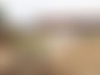 RIO MAIOR: OBRAS DA FRENTE RIBEIRINHA E DA VILLA ROMANA DECORREM A BOM RITMO