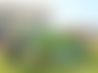 FOOTESCOLA DO NSRM ORGANIZA TORNEIO DE HOMENAGEM A SILVINO SEQUEIRA