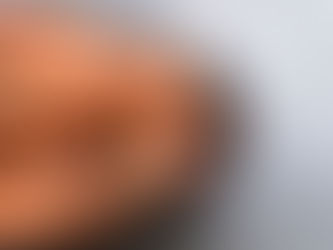 MUNICÍPIO DE SANTARÉM ATRIBUI APOIO FINANCEIRO AO FESTIVAL DO MARISCO DE AZOIA DE CIMA