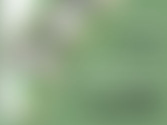 TORRES NOVAS: APRESENTAÇÃO PÚBLICA DA EMPREITADA DE REQUALIFICAÇÃO DA URBANIZAÇÃO BAROBRA