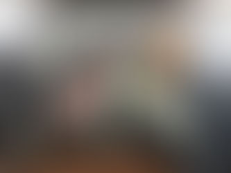 PENICHE: CASAL ROUBOU MATERIAL RELACIONADO COM A PRÁTICA DE SURF EM DIVERSAS RESIDÊNCIAS