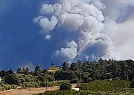 RIO MAIOR: ALERTA DE INCÊNDIO EM ARROUQUELAS
